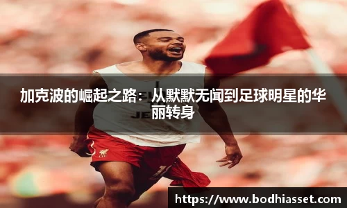 太阳成集团最新地址